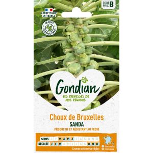 Choux de Bruxelles Sanda Gondian