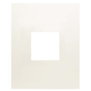 24x30 passe partout 10x10 blanc casse