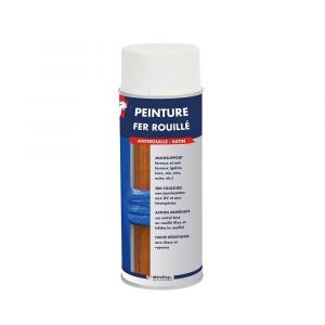 Peinture Fer Rouille -  Vert noir - RAL 6012 - Bombe 400mL