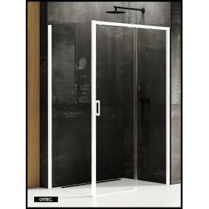 Porte de Douche avec Paroi Latérale (ouverture depuis l'angle) - 100 x 80 x 200 - BLANC MAT - PRIME - DROITE