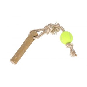 Balle tennis + bois cafeier s/m 34cm