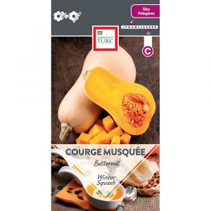 COURGE MUSQUEE BUTTERNUT