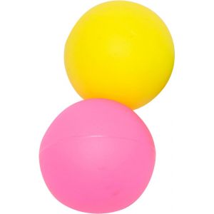Filet de 2 balles de beach ball