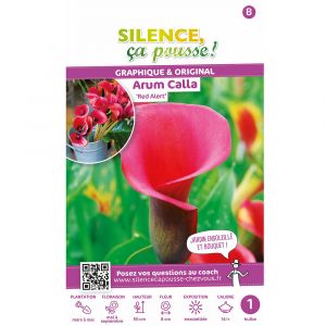 Arum calla red alert 14-+ x1