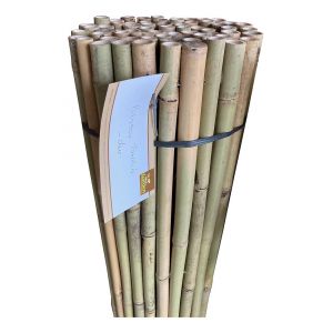 Canisse bambou naturel 1.50x2m ton quin