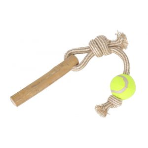 Balle tennis + bois cafeier l 46cm