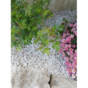 Galet blanc de provence 10/20 sac de 25 kg