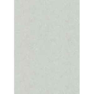 Papier peint duplex gris