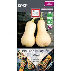 COURGE MUSQUEE BUTTERNUT BIO