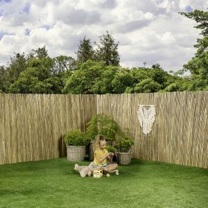 canisse en bambou fendu 2x3M