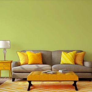 Vert Anis Vert Anis-Peinture murale naturelle écologique aspect satin intérieur Natura - 10L