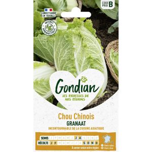 Chou Chinois Granaat Gondian