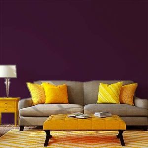 Violet Aubergine Violet Aubergine-Peinture murale naturelle écologique aspect satin intérieur Natura - 10L