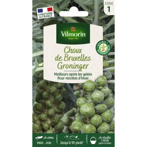 Choux de Bruxelles Groninger