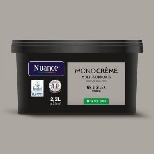 Peinture Monocr&egrave;me - Gris silex - Satin - 2,5L