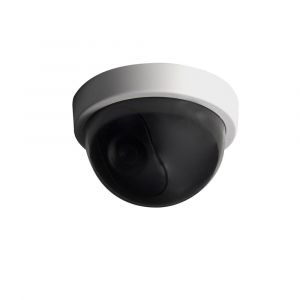 Caméra factice dôme - Blanc - LED bleue