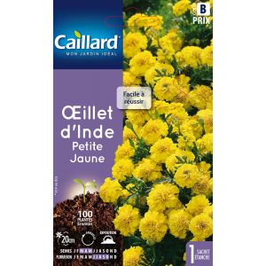 OEILLET D'INDE PETITE JAUNE