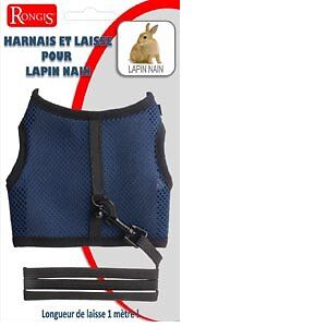 Harnais + laisse lapin nain