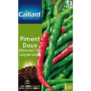 Piment doux poivron res long des landes