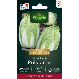 Chou Chinois Polstar HF1 - Graines d'Exception R&eacute;sistante aux maladies
