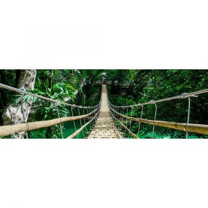 Tableau sur toile pont de bambou 30x97 cm