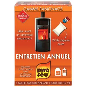 Entretien annuel bois charbon 3x250g