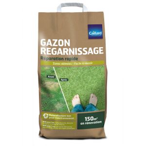 Gazon de Regarnissage 5KG