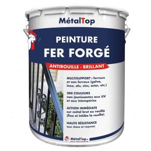 Peinture Fer Forge -  Vert noir - RAL 6012 - Pot 5L