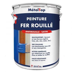 Peinture Fer Rouille -  Vert noir - RAL 6012 - Pot 5L