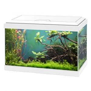 Aqua 20 classic blanc eur