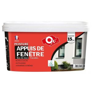 Peinture pour appuis de Fenetre - Grise clair - 2.5L