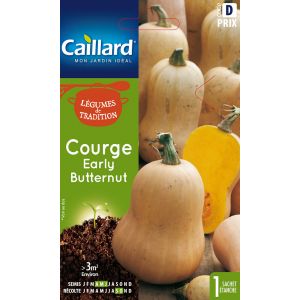 Courge butternut Early