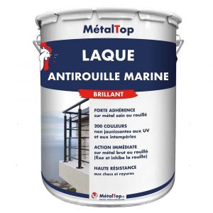 Laque Antirouille Marine -  Vert noir - RAL 6012 - Pot 5L