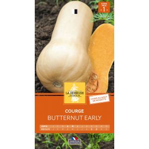 COURGE MUSQUEE BUTTERNUT EARLY