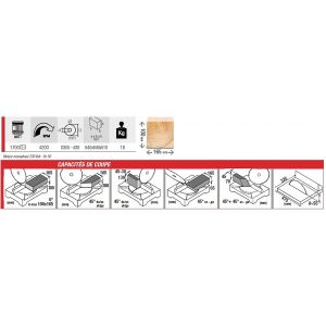 Scie à onglet avec table de délignage 1700W 230V Diam 305mm moteur à charbon 999EVO Femi