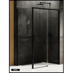 Porte de Douche avec Paroi Latérale (ouverture depuis l'angle) - 100 x 80 x 200 - NOIR MAT - PRIME - DROITE