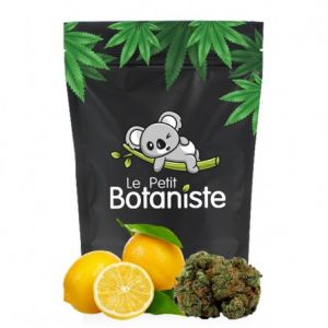 Lemon Skunk CBD - Le Petit Botaniste