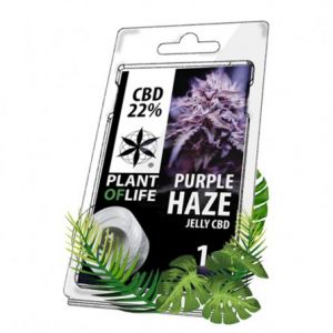 Jelly CBD Purple Haze 22% - Plant Of Life