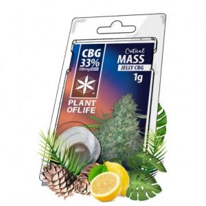 Jelly Critical Mass CBG 33% - Plant Of Life