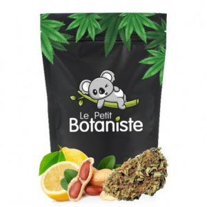 Critical Haze CBD - Le Petit Botaniste