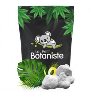 IceRock 81% CBD - Le Petit Botaniste