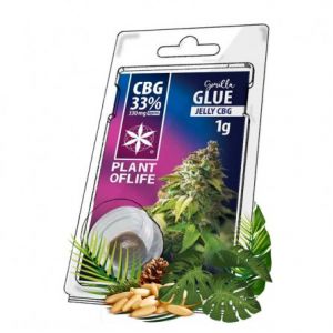 Jelly Gorilla Glue CBG 33% - Plant Of Life