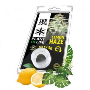 Jelly CBD Lemon Haze 22% - Plant Of Life