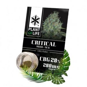Pollen 28% CBG Critical - Plant Of Life