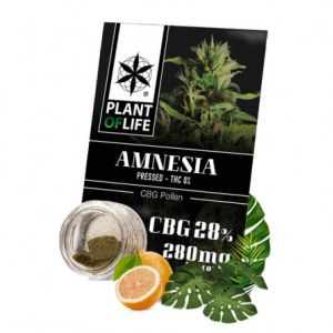 Pollen 28% CBG Amnesia - Plant Of Life