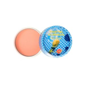 THE FACE SHOP - Fard à joues coussin pastel fmgt Édition ACID - 5g - 03 Poolside Orange