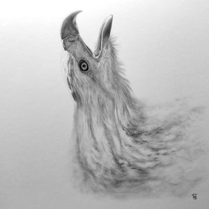 Peinture Aigle royal par K'Arts | Tableau Figuratif - Fusain - Scènes de vie, Noir &#38; blanc, Animaux