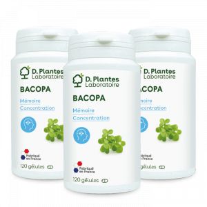 Pack 3 Bacopa monnieri 3 x 120 gélules - D.Plantes - Mémoire et concentration