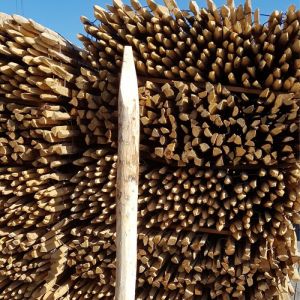 Piquet en bois châtaignier Rond Ecorce - Ø 8/10 - H.3 m