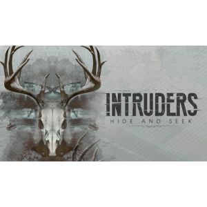 Intruders: Hide and Seek